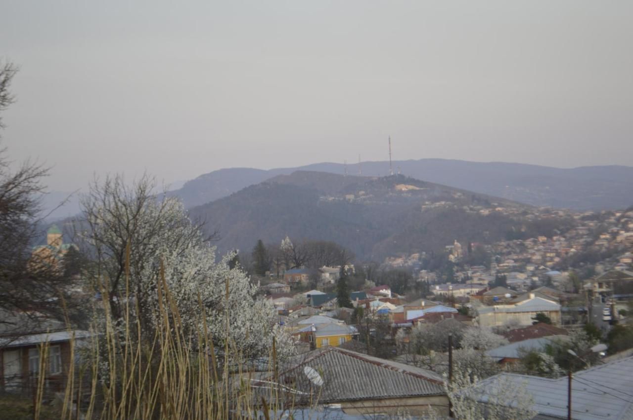 Гостевой дом hill-fort kutaisi Кутаиси-34